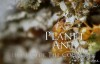 【英语中字】动物世界纪录处：BBC-蚂蚁国度 Planet Ant 全1集高清