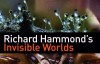 [英语中字]科学探秘纪录片：BBC-理查德·哈蒙德：看不见的世界visible Worlds 全3集