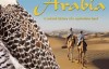 [英语中英双语字幕]人文地理纪录片：BBC-野性阿拉伯 Wild.Arabia(2013) 全3集