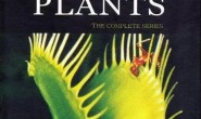 [英语中文字幕]植物王国纪录片：bbc植物私生活 The Private Life of Plants全6集