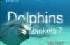 [英语中字]动物世界纪片：BBC聪明的海豚（海豚智力之谜） Dolphins-Deep Thinkers 全1集