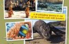 [英语中字]人文地理纪录片：bbc-野性印尼 Wild Indonesia (1999) 全3集