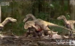 [英语中字]动物世界纪录片：BBC与恐龙同行特辑-镰刀龙秘史 全1集