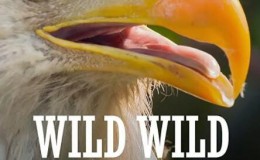 【英语中英字幕】动物世界纪录片：狂野东部 Wild Wild East (2016) 全14集 超清1080P