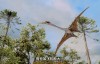 【英语中英字幕】动物世界纪录片：飞行怪兽与大卫·爱登堡 全1集 超清1080P