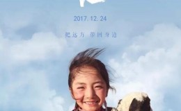【国语中字】国产西藏人文地理纪录片：极地 (2017) 全7集 高清