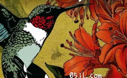 【英语中英字幕】动物世界纪录片-蜂鸟：宝石般的信使 Hummingbirds Jewelled Messengers (2012)全1集 高清720P下载