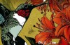 【英语中英字幕】动物世界纪录片-蜂鸟：宝石般的信使 Hummingbirds Jewelled Messengers (2012)全1集 高清720P下载