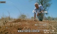 【英语中英字幕】bbc纪录片-自然世界:动物之家(动物住宅) The Natural World: Animal House (2011)全1集 超清1080P