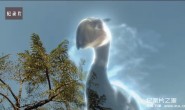 【英语中英字幕】动物世界纪录片:变异星球(又名:生命的力量) The Mutant Planet 全6集(2010) 超清1080P下载