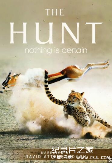 【国语中字】bbc动物世界纪录片：猎捕 The Hunt (2015) 央视译制版 全7集 高清720P图片 No.1