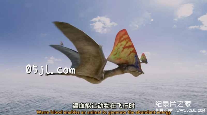 【英语中英字幕】恐龙纪录片：飞行巨兽 Flying Monsters 3D with David Attenborough (2011) 全1集 超清1080P下载图片 No.1