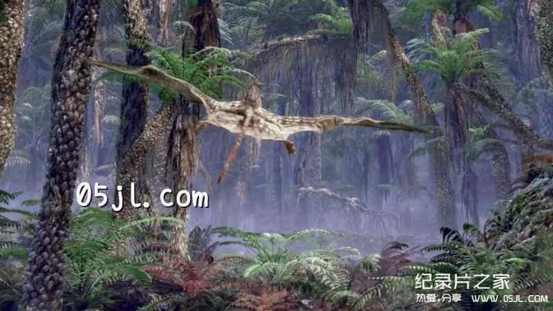 【英语中英字幕】恐龙纪录片：飞行巨兽 Flying Monsters 3D with David Attenborough (2011) 全1集 超清1080P下载图片 No.4