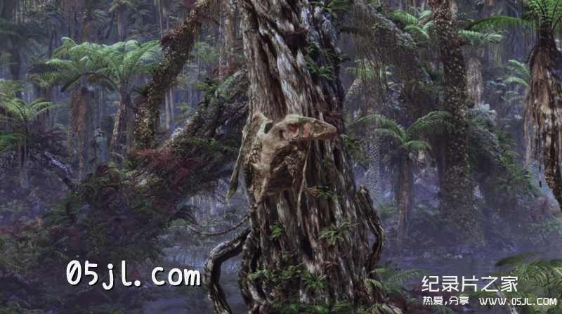 【英语中英字幕】恐龙纪录片：飞行巨兽 Flying Monsters 3D with David Attenborough (2011) 全1集 超清1080P下载图片 No.6