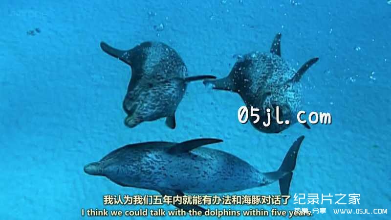 【英语中英字幕】bbc纪录片：海洋巨兽 Ocean Giants (2011) 全3集 高清720P下载图片 No.1