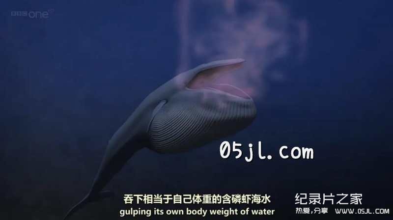 【英语中英字幕】bbc纪录片：海洋巨兽 Ocean Giants (2011) 全3集 高清720P下载图片 No.2