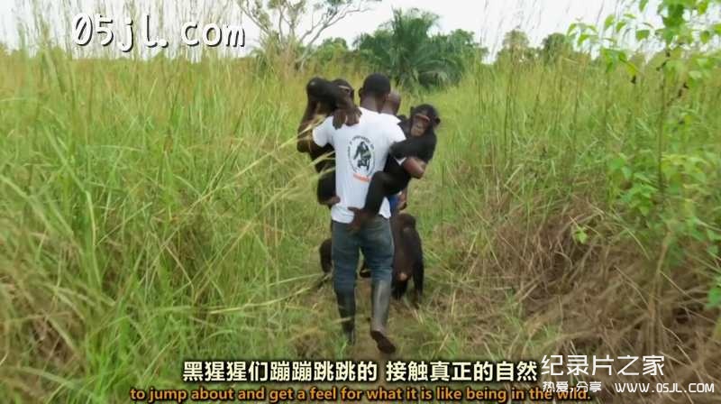 【英语中英字幕】bbc纪录片：我的刚果 My Congo (2016) 全1集 高清720P下载图片 No.2
