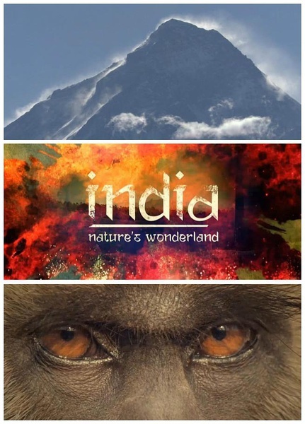 【英语中英字幕】BBC野生动物纪录片 – 印度：大自然的仙境 【全2集】高清图片
