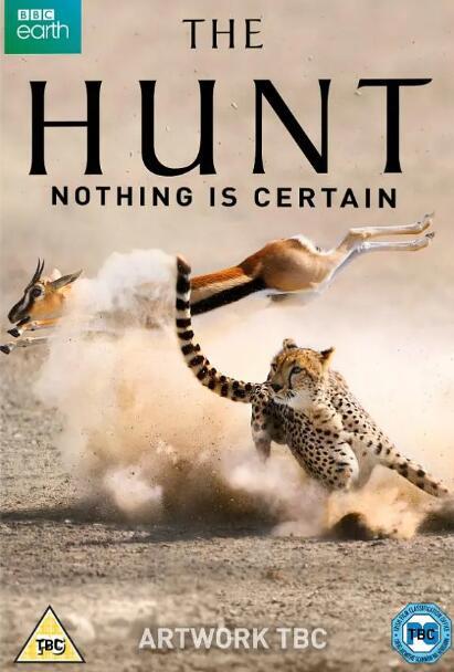 [英语中英字幕]豆瓣高分纪录片top250 之 猎捕 The Hunt (2015) 全7集 1080P超清图片