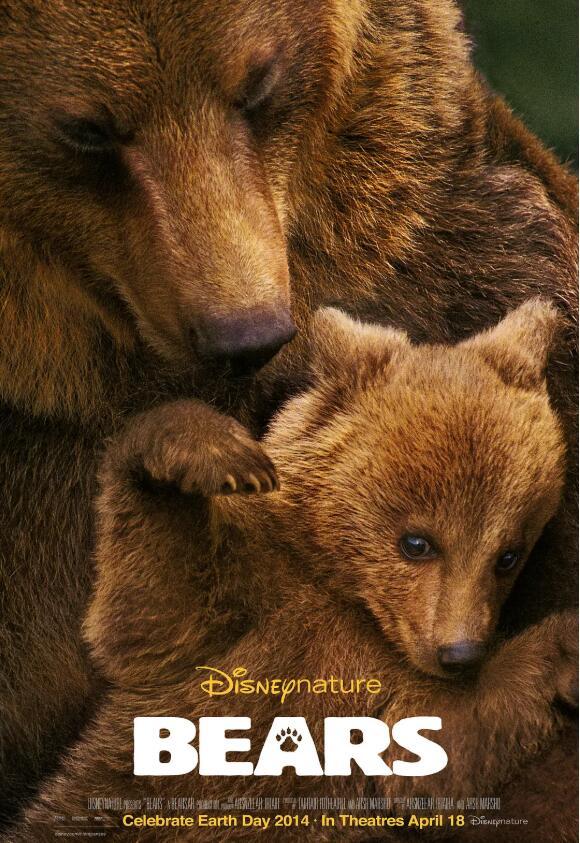 【英语中英字幕】动物世界纪录片：阿拉斯加棕熊 Bears（又名：熊世界 ）(2014)全1集 超清1080P图片 No.1