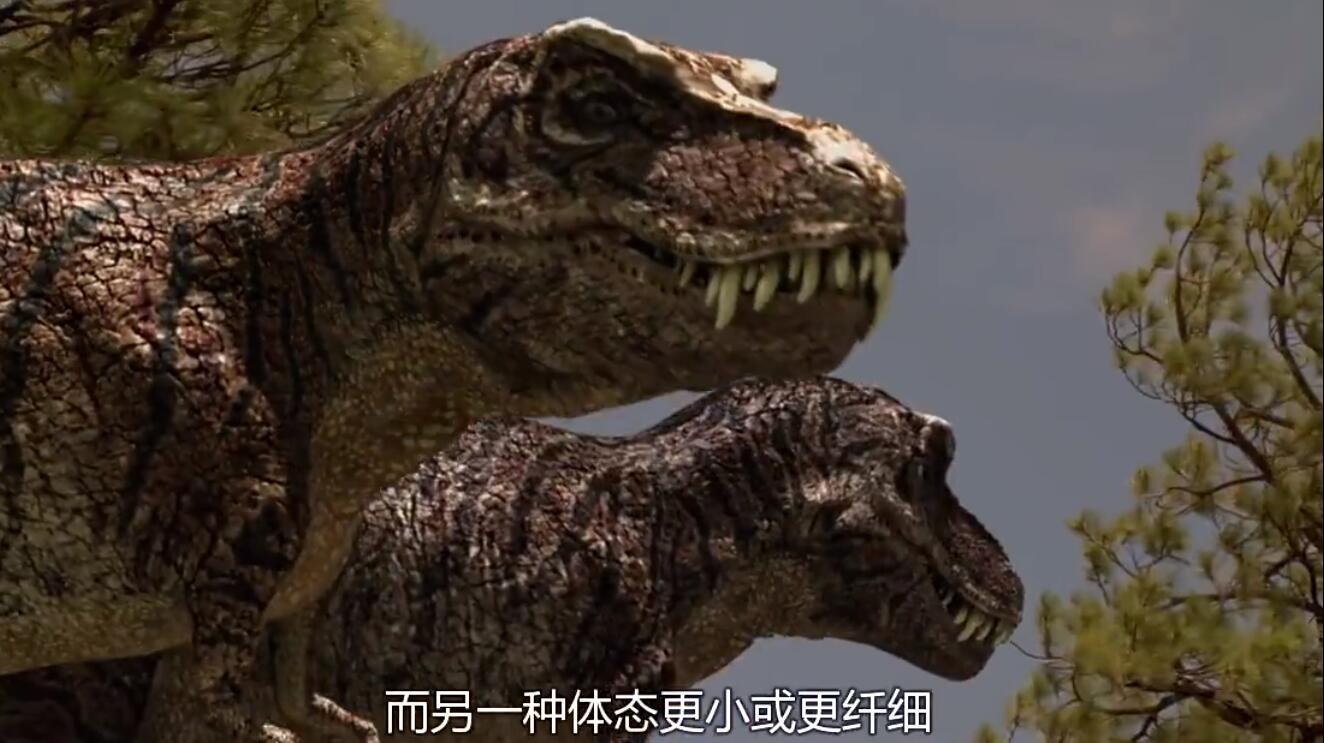 【英语中字】动物世界纪录片：恐龙探秘 Dinosaur Secrets Revealed (2002) 全12集完整版 720P图片 No.3