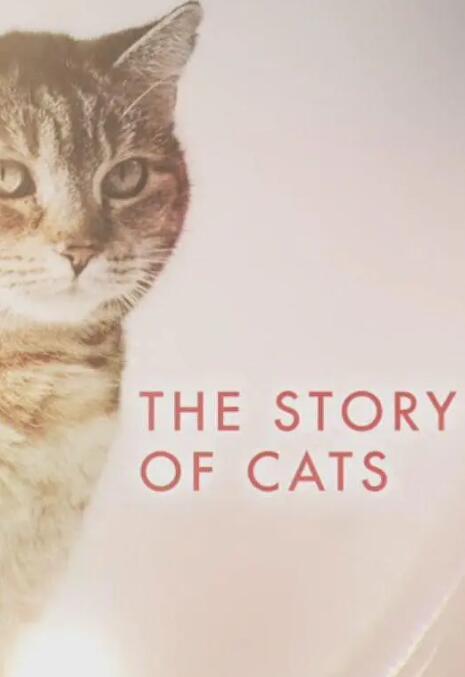 【英语中英字幕】豆瓣9.0分猫纪录片：猫科动物的故事 The Story of Cats (2016) 全3集 高清720P图片