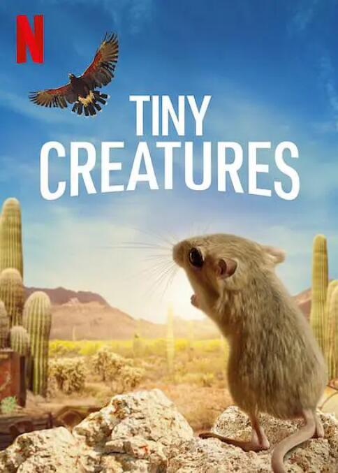 【英语中英字幕】Netflix动物纪录片：微观世界/迷你生物世界 Tiny Creatures (2020) 全8集 超清1080P图片