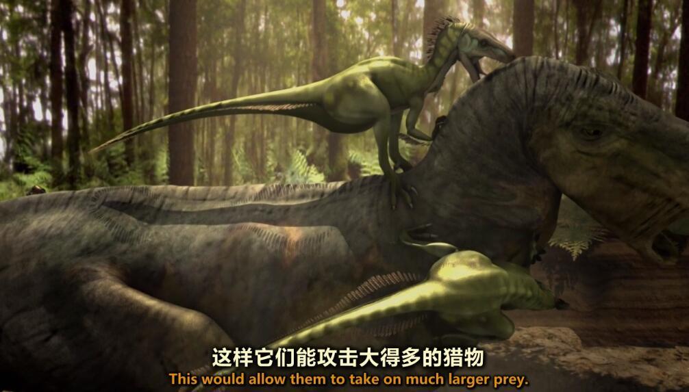 【英语中英字幕】恐龙探秘 Dinosaur Secrets Revealed (2002) 全12集 超清720P图片