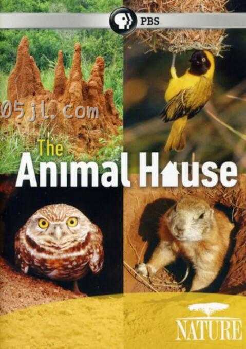 【英语中英字幕】bbc动物世界纪录片-自然世界：动物之家 The Natural World: Animal House (2011) 全1集 超清1080P图片 No.1