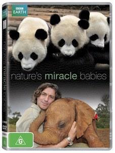 BBC大自然的神奇宝贝 Nature’s Miracle Babies 全四集图片