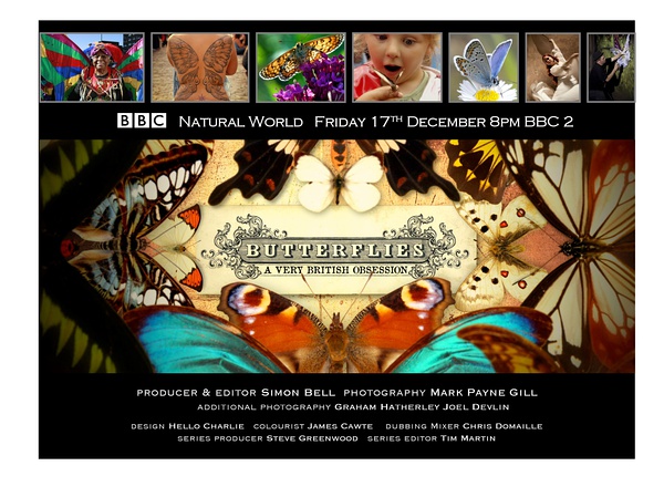BBC自然世界：翩翩蝴蝶—英国式迷恋 高清720p 百度网盘下载图片 No.3