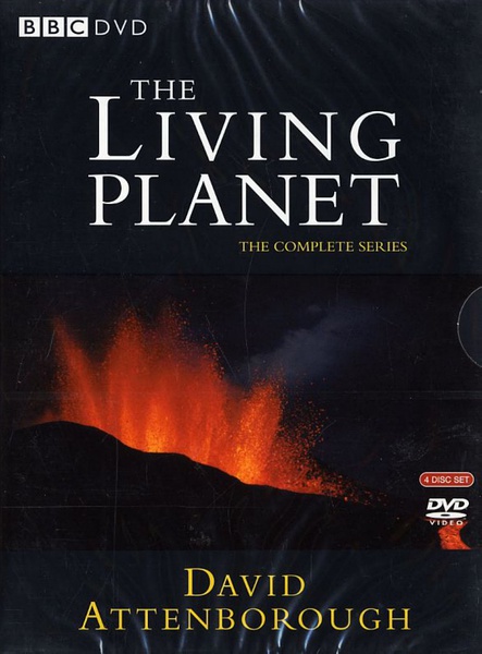 BBC纪录片：生命之源 The Living Planet 高清720P 百度网盘下载图片