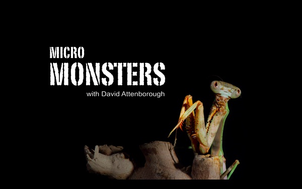 BBC纪录片：3D 微型猛兽世界之旅 Micro Monsters 全7集 蓝光720P高清下载图片 No.4